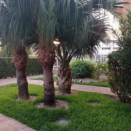 Apartamento Pilar Solo Familias Gandia Exterior photo