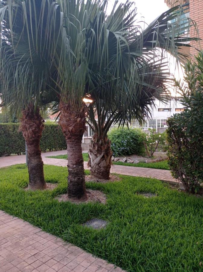 Appartement Pilar Solo Familias